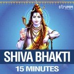 Shiva Bhakti - 15 Minutes - Anand Raaj Anand Song Download